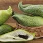 Rare Organic Heirloom Caigua Seeds (Aka Slipper Gourd, Achocha,  Cyclanthera pedata, stuffing cucumber)