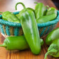 Organic Heirloom Jalapeno Seeds ("Jalapeño Temprano" pimienta Chile semillas de orgánico semillas")