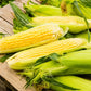 Organic Heirloom Early Golden Bantam Sweet Corn Seeds