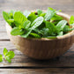 Organic Heirloom Spearmint Seeds