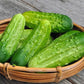 Organic Heirloom Poinsett 76 Cucumber Seeds