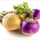 Heirloom Organic American Purple Top Rutabaga
