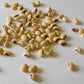RARE ENDANGERED Cynthia Bean (COWPEA) Seeds Extremely Rare Endangered Plant Species