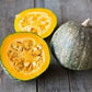Heirloom Organic Black Forest Kabocha Squash Seeds (Aka Japanese Pumpkin)