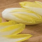 Heirloom Organic Salad King Endive Seeds