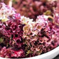 Heirloom Organic 8 Lettuce Salad Bowl Seeds