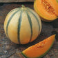 RARE HEIRLOOM Organic Charentais Melon Seeds (Aka French Cantaloupe)