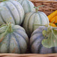 RARE HEIRLOOM Organic Charentais Melon Seeds (Aka French Cantaloupe)