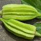 Heirloom Organic Star Of David Okra Seeds (AKA Israeli Okra, Old Fashioned Okra)