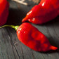 Heirloom Organic Red Scotch Bonnet Seeds (Aka Bonney Peppers, Caribbean Red Peppers)