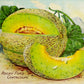 RARE Heirloom Organic Rocky Ford Green Flesh Melon Seeds (Aka Eden Gem Melon)