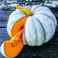 RARE Organic Heirloom Jarrahdale Pumpkin Seeds