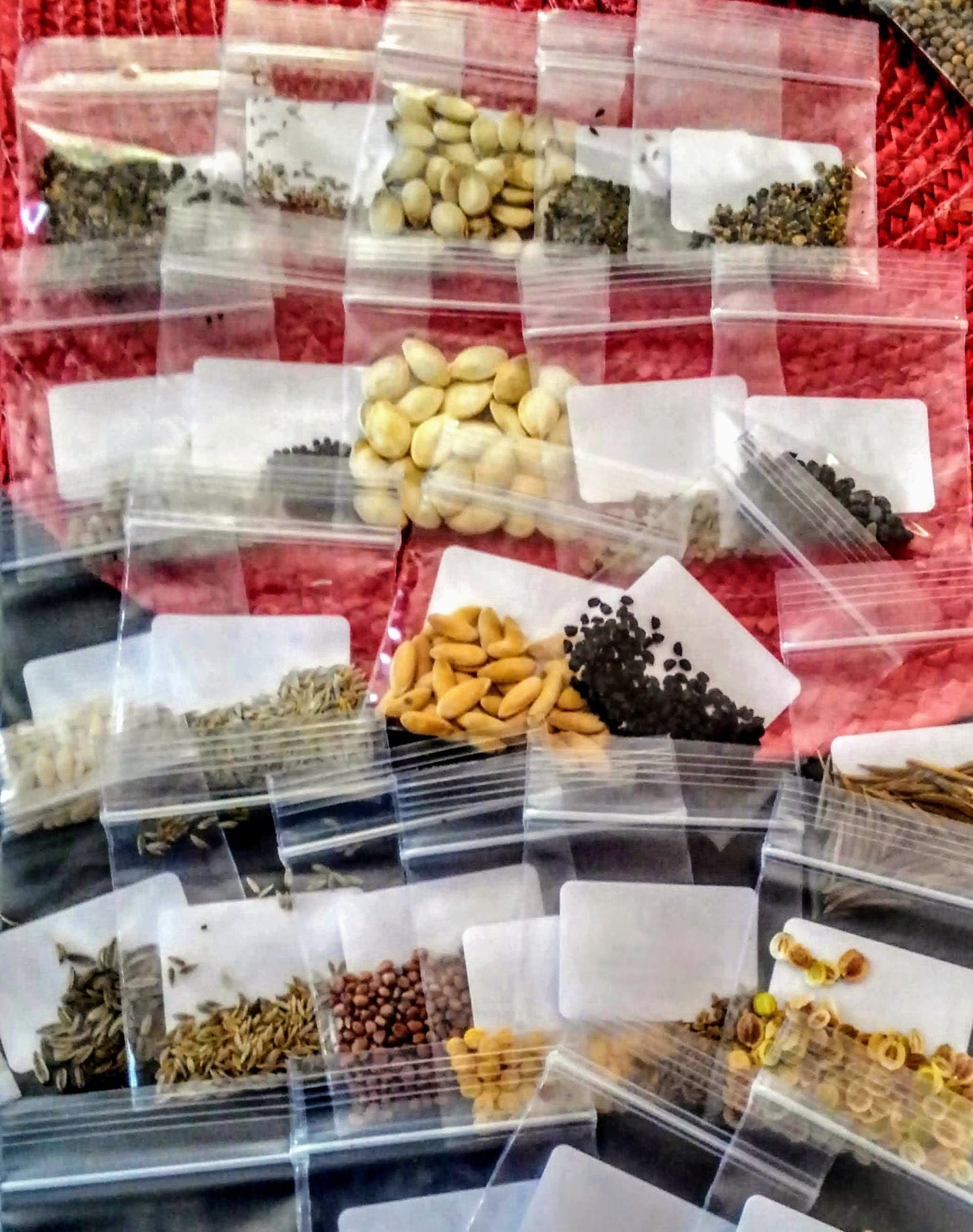 Military grade Survival Seed Bank 75 Variety Seed Vault