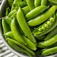 Heirloom Organic Sugar Daddy Stringless Pea Seeds