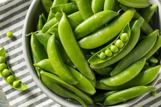 Heirloom Organic Sugar Daddy Stringless Pea Seeds