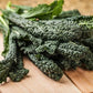Heirloom Organic Black Magic Lacinato Kale Seeds