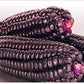 RARE Heirloom Organic Peruvian purple Corn Seeds (Maiz Morado or Incan Ceremonial Maiz)