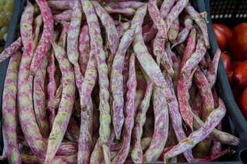 Organic Heirloom Red Cargamanto Bean Seeds