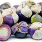 Organic Heirloom Purple Tomatillo Seeds Rare