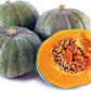 Heirloom Organic Black Forest Kabocha Squash Seeds (Aka Japanese Pumpkin)