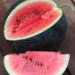 Organic Heirloom Blacktail Mountain Watermelon Seeds