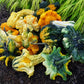 Heirloom Organic Autumn Wings Gourd Seeds