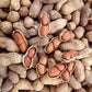 Heirloom Organic Raw Spanish Peanut Seeds