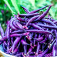 Heirloom Organic Cow Peas Pinkeye Purple Hull Seeds