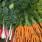 Organic Winter Survival Seed Bank