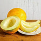 RARE Heirloom Organic Collective Farm Woman Melon Seeds (AKA Kolkhoznitsa Melon)