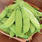 Heirloom Organic Mammoth Melting Snow Pea Seeds
