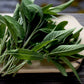 Heirloom Organic Sage Seeds  Aka Salvia Officinalis Medicinal Herbs, Garden Sage, Smudging, Green Sage, Common Sage, Smudge sticks