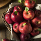 Organic Red Jonathan Apple Tree Seeds Aka Malus domestica !Fast growing trees!