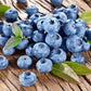 Organic Heirloom Blueberry Bush - Seeds Perfect for potting for urban gardening or apartment plants!
