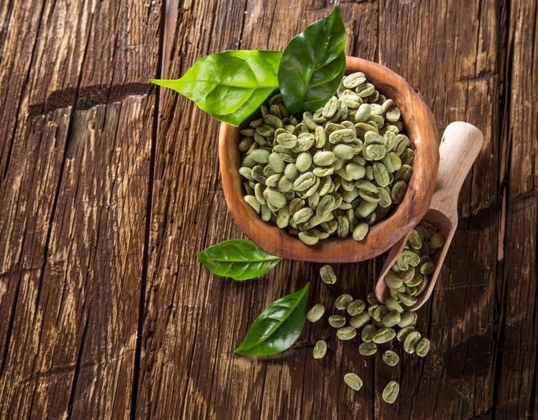 Organic Coffee Bean Tree Seeds  Arabica perfect office or house plants! seedlings available check website for details