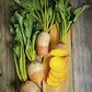 Heirloom Organic Detroit Gold Beet Seeds