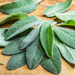 Heirloom Organic Sage Seeds  Aka Salvia Officinalis Medicinal Herbs, Garden Sage, Smudging, Green Sage, Common Sage, Smudge sticks