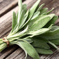 Heirloom Organic Sage Seeds  Aka Salvia Officinalis Medicinal Herbs, Garden Sage, Smudging, Green Sage, Common Sage, Smudge sticks