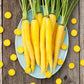 Heirloom Organic Solar yellow Carrot Seeds! Farmers market Prize winner or stand out with Gourmet recipes that will really make a impression