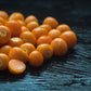 Heirloom Organic Cape Gooseberry Seeds  Aka Physalis peruviana, Golden Berry, Rasbhari, Peruvian Groundcherry, Poha