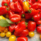Heirloom Organic Mix Lunchbox Pepper Seeds
