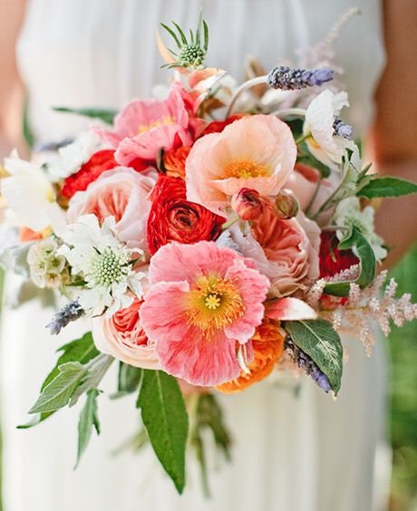 Heirloom Mix Shirley Poppy Seeds