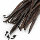Heirloom Organic Vanilla VineVanilla  planifolia Seeds  !Vanilla bean Orchid seeds spices and herbs on site!